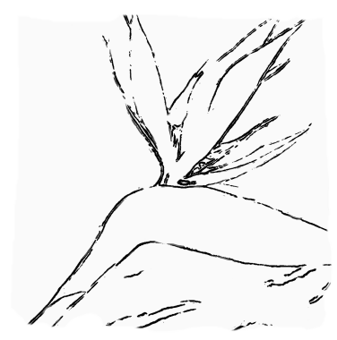 croquis : Venus D'ailleurs 1 - Acrylique - 2010