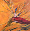 Venus D'ailleurs 1 Paul-Andé Côté - Artiste Peintre : Venus D'ailleurs 1