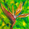 Venus D'ailleurs 2 Paul-Andé Côté - Artiste Peintre : Venus D'ailleurs 2