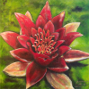 Lotus Paul-Andé Côté - Artiste Peintre : Lotus