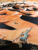 Rendez-vous Paul-Andé Côté - Artiste Peintre : Rendez-vous
