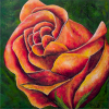 Rose du Bouquet Paul-Andé Côté - Artiste Peintre : Rose du Bouquet