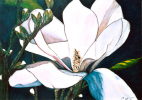 Aimée Paul-Andé Côté - Artiste Peintre : Aimée