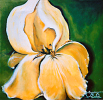Magnifiée Paul-Andé Côté - Artiste Peintre : Magnifiée