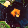 Convoitée Paul-Andé Côté - Artiste Peintre : Convoitée